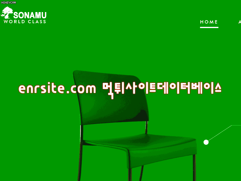 소나무.1 pine-namu.com