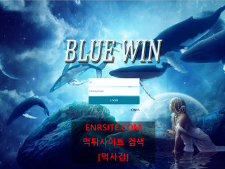 블루윈 bw-wn.com