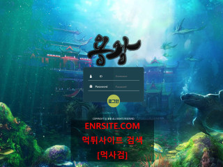 용왕 ds-1313.com