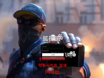 빅픽쳐 big-555.com