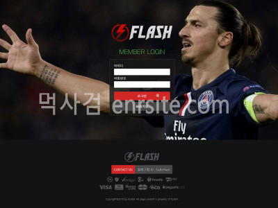 플래쉬 flash-gogogo.com