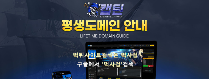 캡틴도메인.com