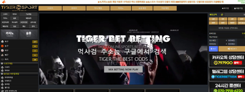 메이저타이거.com 타이거벳 tigerbet  