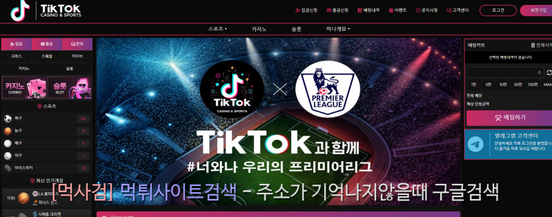 틱톡 TIKTOK xlrxhr