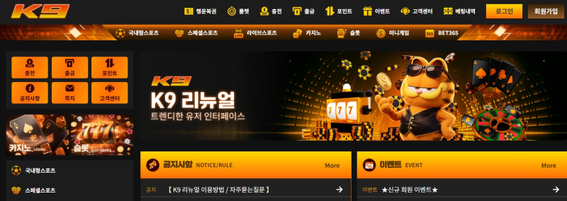 케이나인
